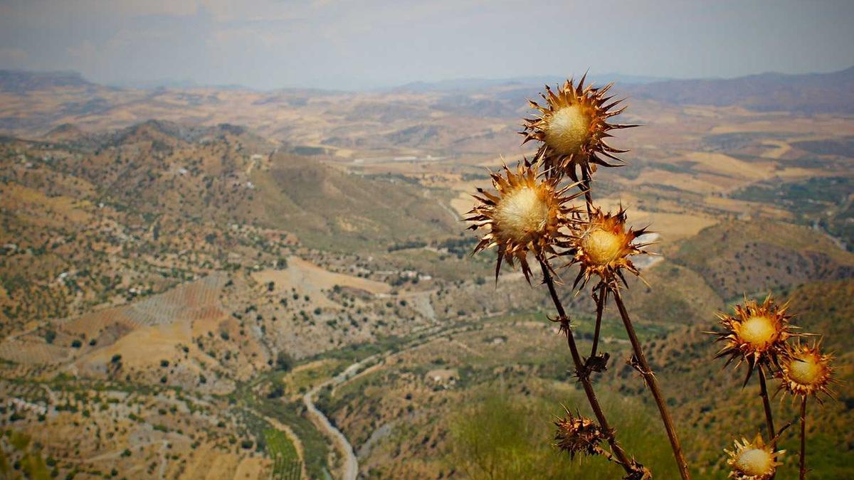 Kocaali’de bahçeli villa karşılaştırırken aile kullanımı için pratik kontroller hangileri