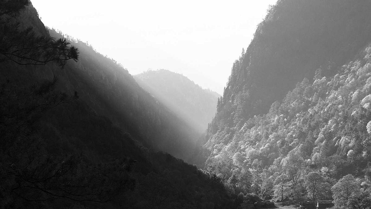 Kocaali merkez konumlu villa seçerken sürdürülebilirlik ve yeşil bina kriterleri alıcı için …