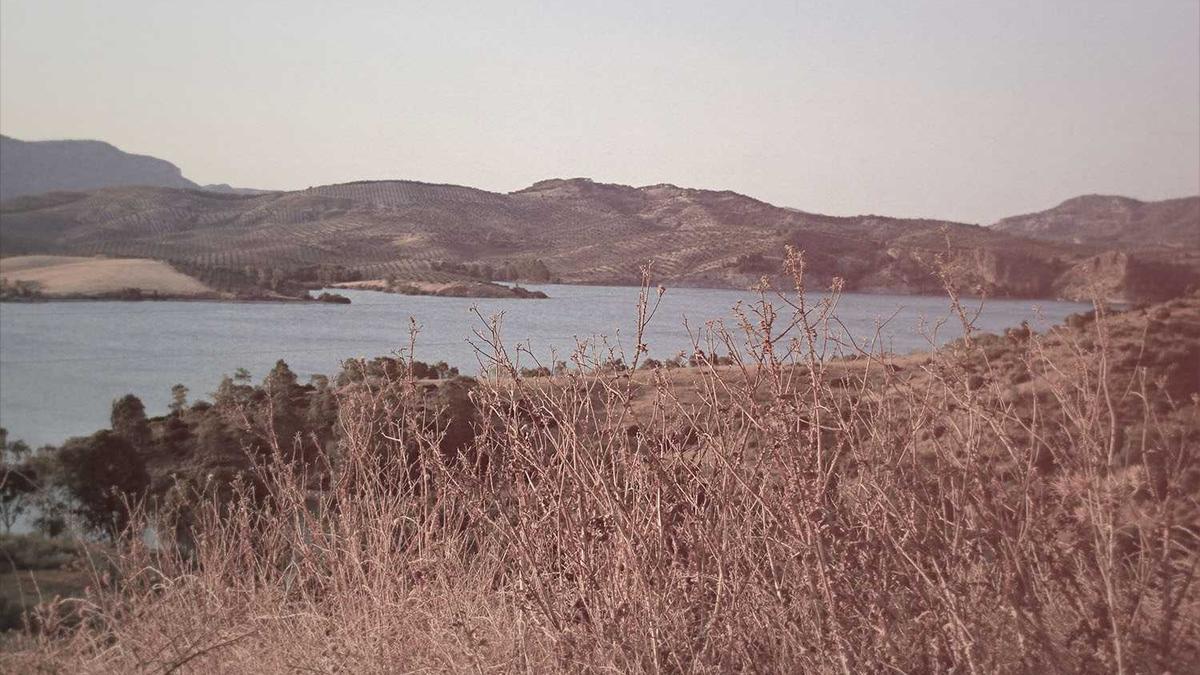 Kocaali merkez konumlu villa konut kredisi sürecini yürütürken sürdürülebilirlik ve yeşil bi…