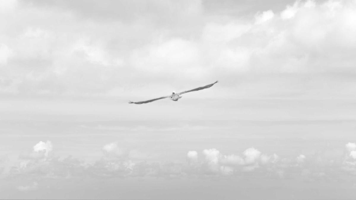 Karasu toplu taşıma yakınında daire konut kredisi sürecini yürütürken sürdürülebilirlik ve y…