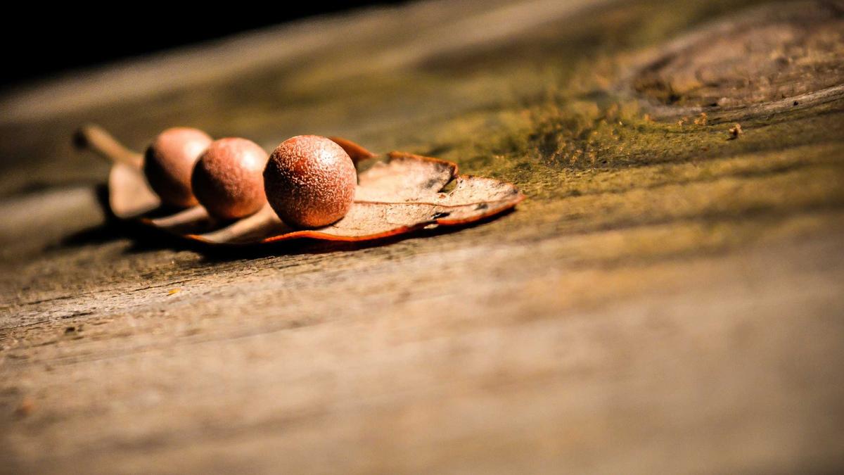 Karasu deniz manzaralı daire yatırım portföyüne eklerken sürdürülebilirlik ve yeşil bina kri…