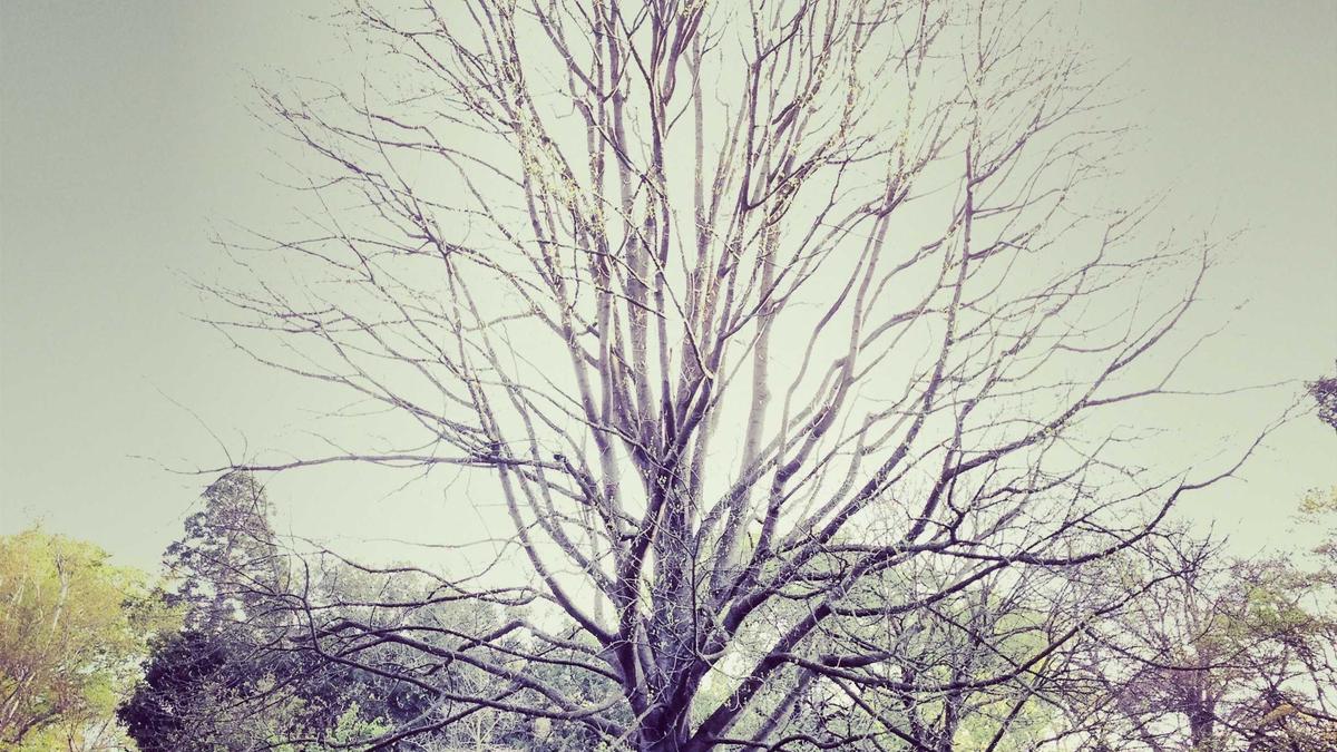 Karasu deniz manzaralı daire konut kredisi sürecini yürütürken sürdürülebilirlik ve yeşil bi…